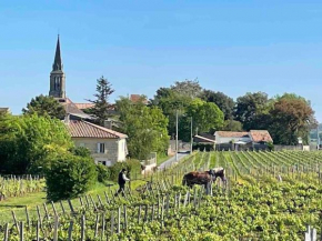 Studio with AC, pool & garden, 2km St Emilion